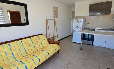 Desde marzo, leer descripción, año corrido