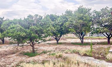 Casa de Campo en San Isidro