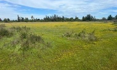 OPORTUNIDAD: TERRENO DE 3,3 HÁ - LOS ANGELES KM 484 RUTA 5 SUR