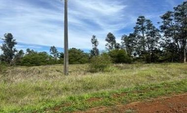 OPORTUNIDAD: TERRENO DE 3,3 HÁ - LOS ANGELES KM 484 RUTA 5 SUR