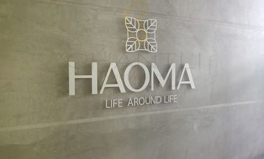 DEPARTAMENTO 806 EN RENTA EN HAOMA PROVIDENCIA