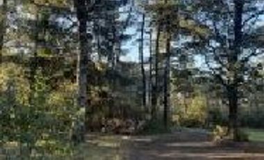 EXCELENTE PARCELA DE AGRADO EN PUCÓN – IDEAL SEGUNDA VIVIENDA – CAMINO INTERNACIONAL KM 9,8