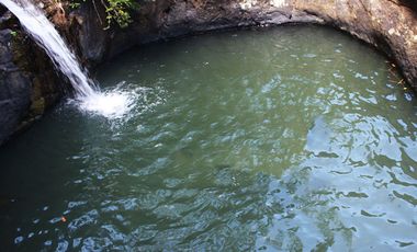 25,500 m2 / 6.30 Acres | Overlooking Estate with Waterfall Sanctuary