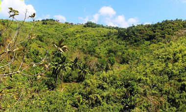 25,500 m2 / 6.30 Acres | Overlooking Estate with Waterfall Sanctuary