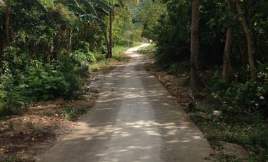 For Sale: Farm Resort in Palilla Rizal