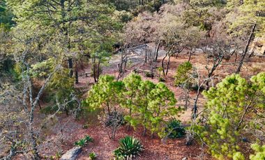 Cabañita Tapalpa Terreno grande