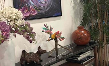 Departamento en renta amueblado en Polanco