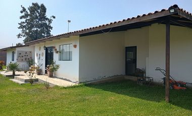 Vendo fundo agricola de paltas con hermosa casa incluida en IMPERIAL CAÑETE