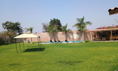 Vendo fundo agricola de paltas con hermosa casa incluida en IMPERIAL CAÑETE