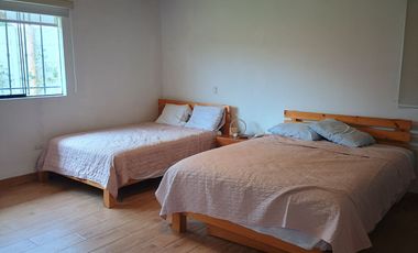 Vendo fundo agricola de paltas con hermosa casa incluida en IMPERIAL CAÑETE