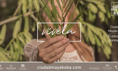 Vive Rodeado de Naturaleza – Casa en Ciudad Mayakoba