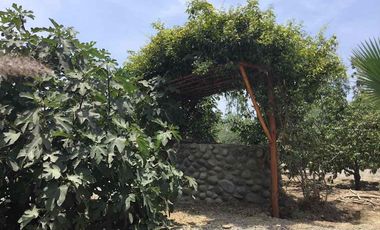 CASA DE CAMPO EN VENTA