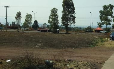 Terreno en RENTA por m2, El Mayoral