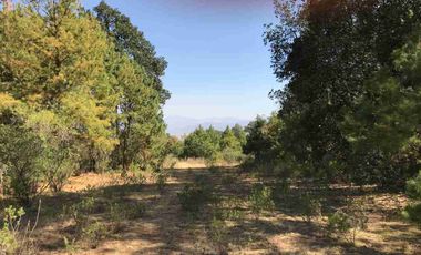 HERMOSO Y GRANDE TERRENO EN MICHOACSN