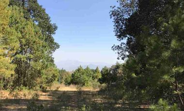 HERMOSO Y GRANDE TERRENO EN MICHOACSN