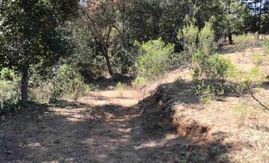 HERMOSO Y GRANDE TERRENO EN MICHOACSN