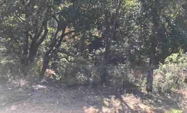 HERMOSO Y GRANDE TERRENO EN MICHOACSN