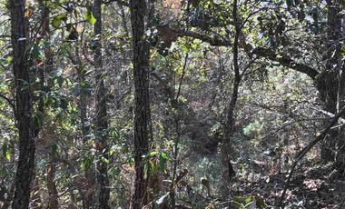 HERMOSO Y GRANDE TERRENO EN MICHOACSN