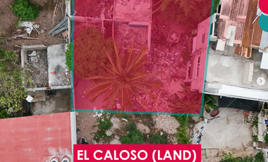 Terreno amplio en El Caloso, ideal para desarrollo residencial o comercial a minutos de la Zona Romántica