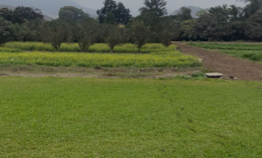 VENDO AMPLIO TERRENO EN PACHACAMAC - ZONA CASA BLANCA