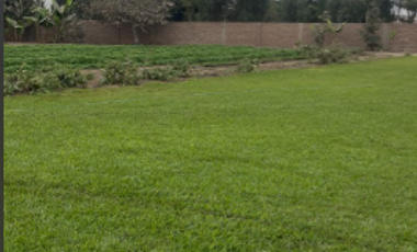 VENDO AMPLIO TERRENO EN PACHACAMAC - ZONA CASA BLANCA