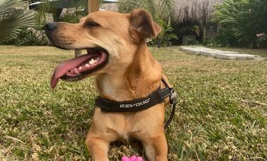 ALQUILER DE LINDA FINCA LA PERLA LLAMANOS AL3007703862 LOS ESPERAMOS