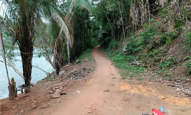 Terreno de 3.2 ha a orillas de la Laguna de Sauce. Su ambiente de paz y tranquilidad lo convierte en el lugar ideal para un proyecto residencial.