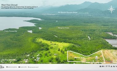 Live in one of the world's most peaceful and hidden island and beaches.Palawan