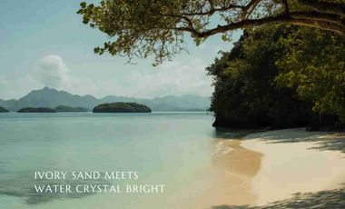Own a piece of Property where you can enjoy the nature only in Palawan
