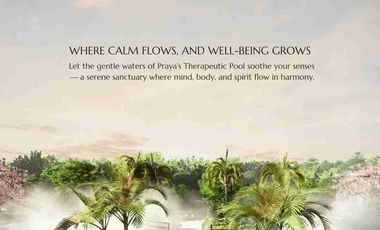 Own a piece of Property where you can enjoy the nature only in Palawan