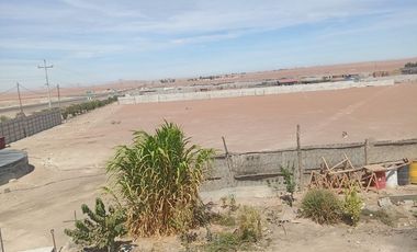 Terreno en Venta – Panamericana Sur, La Joya – Desde 2,000 m²