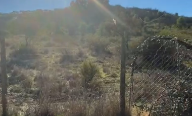 Se vende parcela 5000 mts con agua y luz Litueche