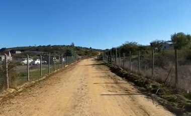 Se vende parcela 5000 mts con agua y luz Litueche