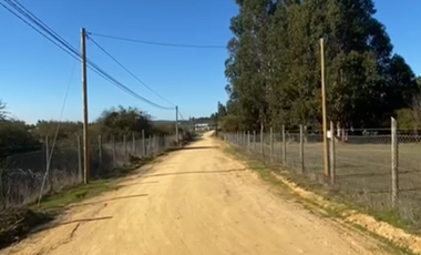 Se vende parcela 5000 mts con agua y luz Litueche