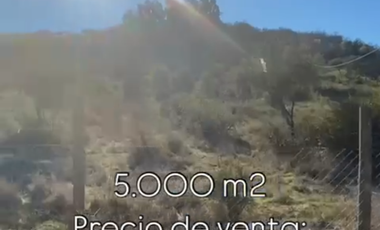 Se vende parcela 5000 mts con agua y luz Litueche