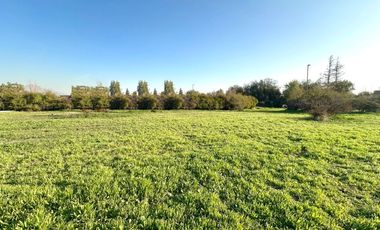 Sitio, Cond. Por Av. El Valle, Algarrobos, Piedra Roja, Chicureo Oriente