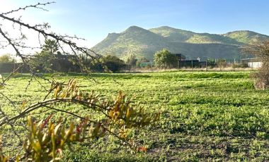 Sitio, Cond. Por Av. El Valle, Algarrobos, Piedra Roja, Chicureo Oriente