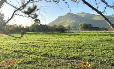 Sitio, Cond. Por Av. El Valle, Algarrobos, Piedra Roja, Chicureo Oriente