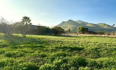 Sitio, Cond. Por Av. El Valle, Algarrobos, Piedra Roja, Chicureo Oriente