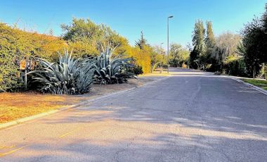 Sitio, Cond. Por Av. El Valle, Algarrobos, Piedra Roja, Chicureo Oriente