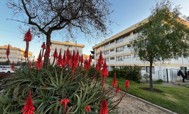 Vendo excelente dpto para inversión, Miraflores Alto