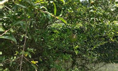 Casa Campestre