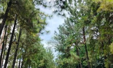 Ready for occupancy condominium in Davao, 5% to Move in
