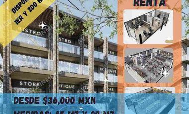 Locales en Renta en Plaza comercial en Tezal,  Los Cabos Cabo San Lucas