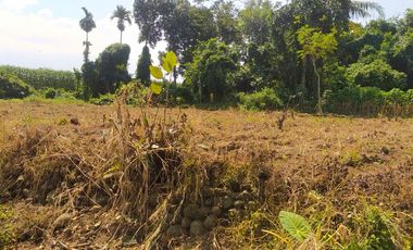 Kavling Murah Siap Bangun di Arcawinangun Purwokerto Timur