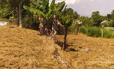 Kavling Murah Siap Bangun di Arcawinangun Purwokerto Timur