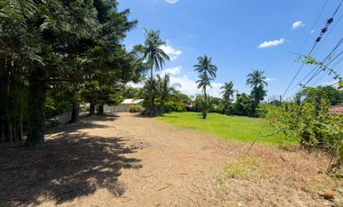 Farm Lot for Sale in Calamba, Laguna