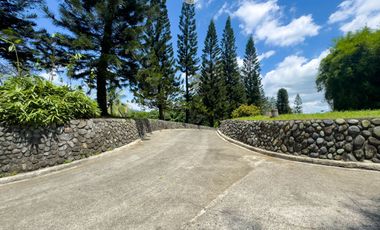 Farm Lot for Sale in Calamba, Laguna