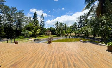 Farm Lot for Sale in Calamba, Laguna