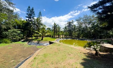 Farm Lot for Sale in Calamba, Laguna